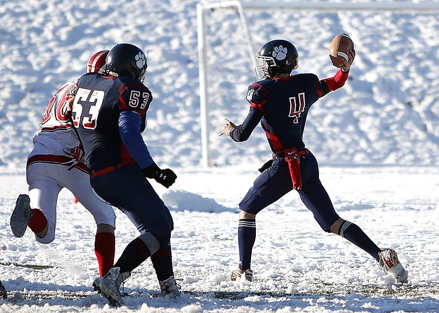 队的得分利 队的得分利