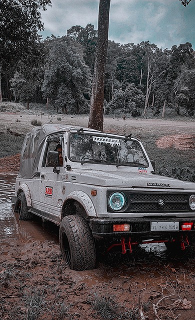 迷和媒体的 迷和媒体的