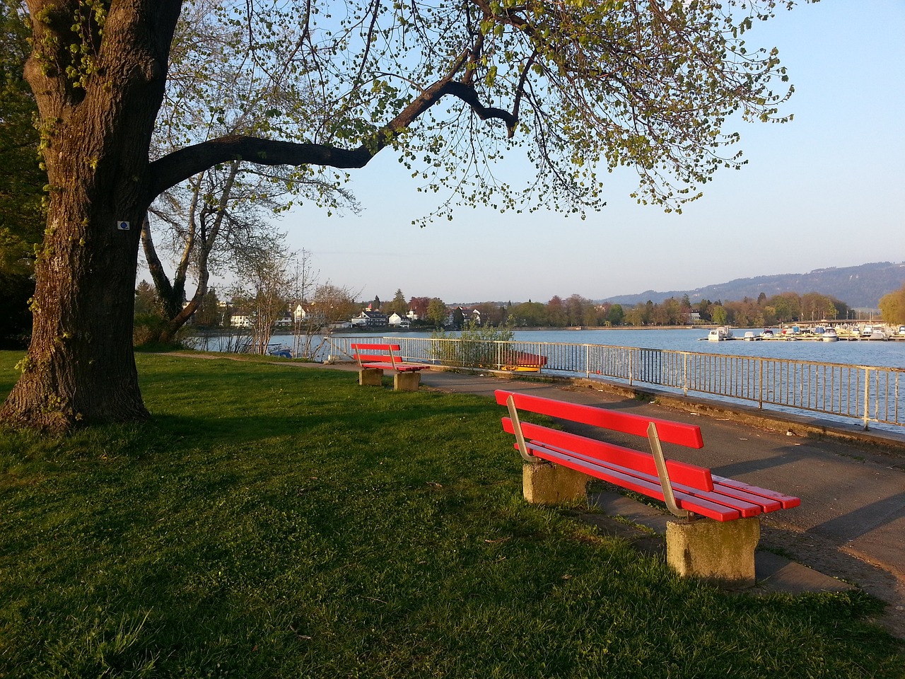 中国女足球 中国女足球