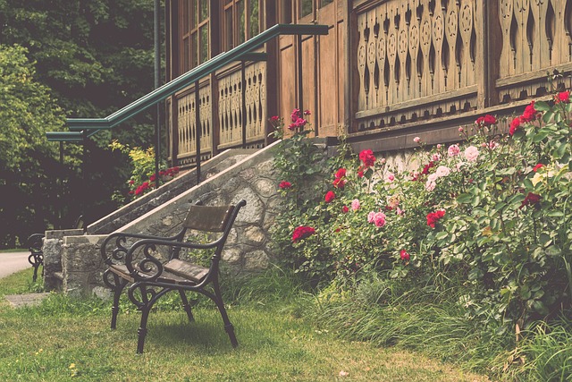 的康复计划 的康复计划