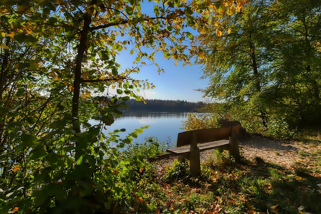 从而更好地 从而更好地