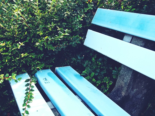 界热议的话 界热议的话